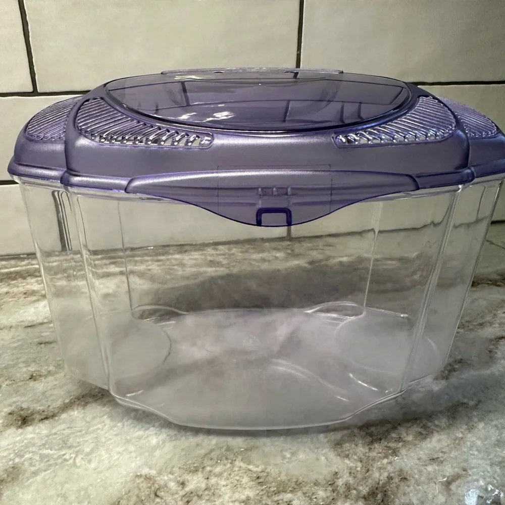 Beta fish tank